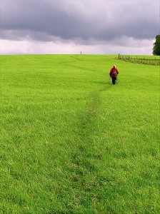 The Walker art entry