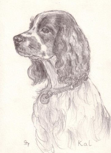 Kallie