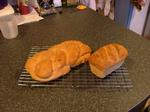 Cob and Seeded Plait
