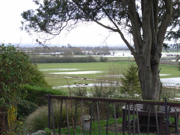 Somerset Levels from Langport