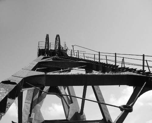 Colour photo converted to black and white 2