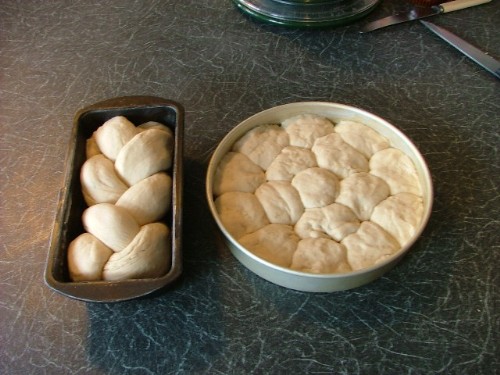 Formed dough ready for 2nd rising