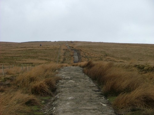 Whernside Path