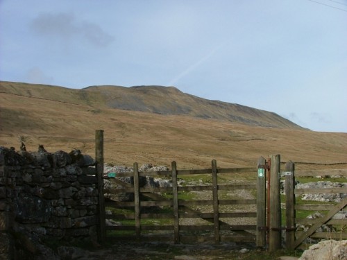 Whernside from Bottom